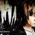 【Acid Black Cherry】蝶のPVフルから意味を間違えないように！